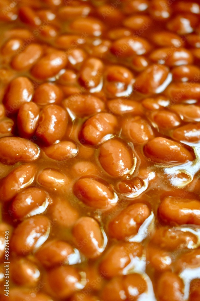 close up of beans close up of beans