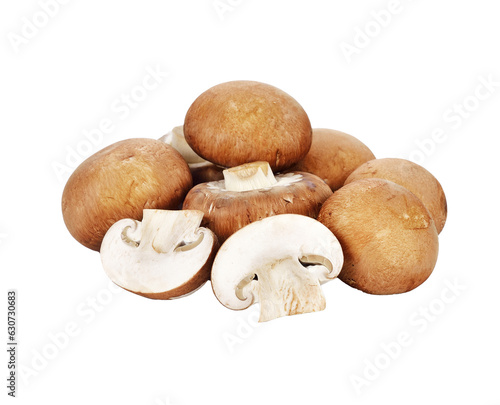 Brown champignon mushroom and rosemary leaves transparent png