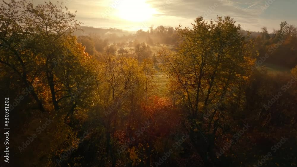 Flying fast over idyllic rural landscape towards the rising sun. FPV drone moving low by the beautiful trees in gold morning light