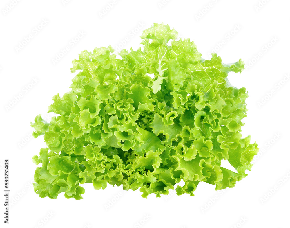 Obraz premium Lettuce transparent png