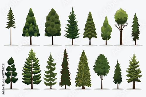 pine trees set vector flat minimalistic isolated illustration