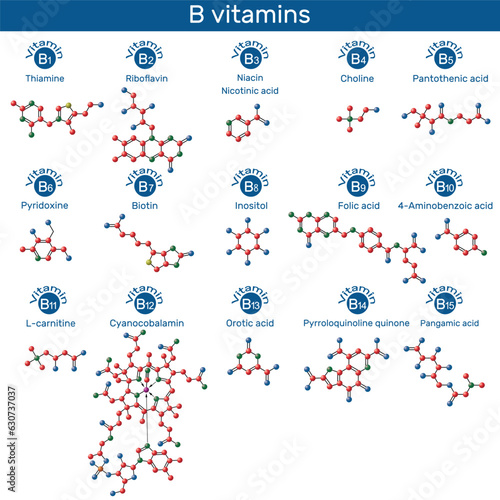 Vitamins B molecule model. Thiamine, riboflavin, niacin, nicotinic acid, choline, pyridoxine, biotin, inositol, folic acid, PABA, L-carnitine, cyanocobalamin, orotic acid, PQQ, pangamic acid. 