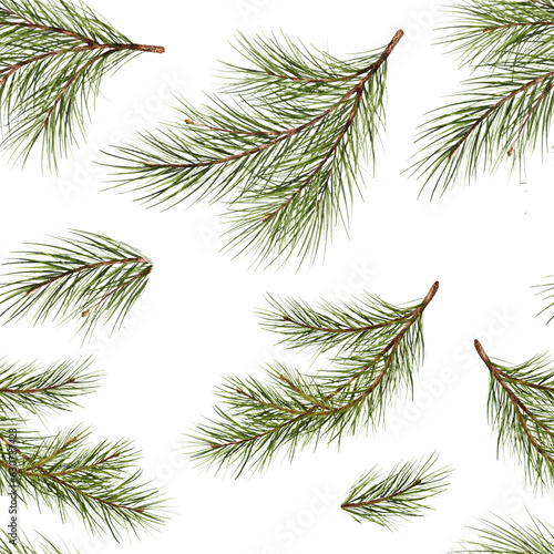 seamless pattern. Pine branch watercolor isolated illustration. green natural forest christmas tree. needles branches greenery hand drawn. holiday decor with fir branch. holiday celebration new year