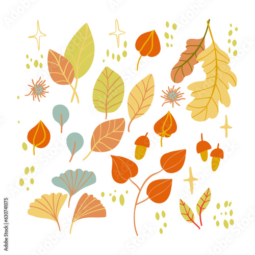 Set with autumn elements such as leave  berries. Isolated fall coloured elements for stickers  t-shirs printing.