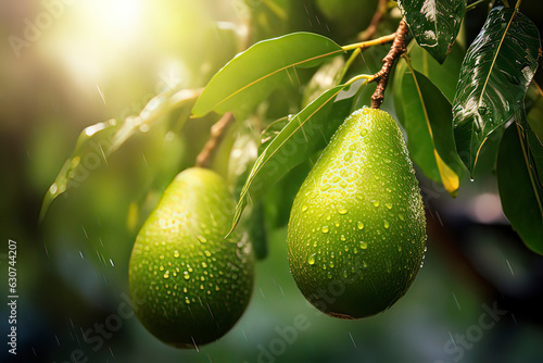 Pears on the trees in the orchard. AI technology generated image