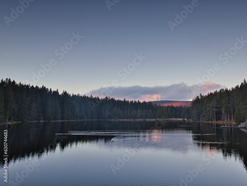 Tranquil lake surrounded by a lush, dense forest at dusk