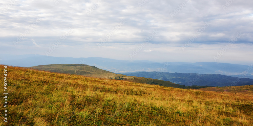 countryside scenery with meadow in mountains. weathered grass on the hills countryside scenery with meadow in mountains. weathered grass on the hills