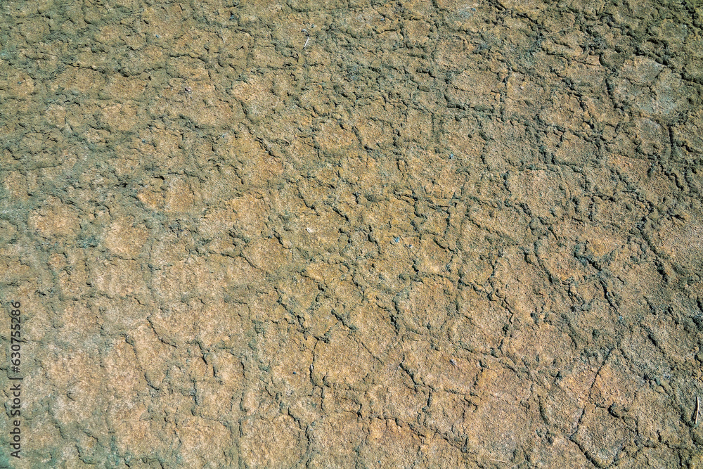 Pedology. Polygonal structure. Driedup lake basin (dry lakebed) alkali flat. Semidesert salt