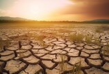 view of rice fields with cracked soil due to global warming. generative AI