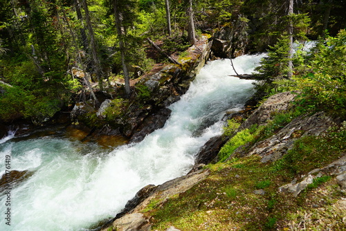 Clear creek brook river at Grand Teton National Park in early summer  Wyoming  USA