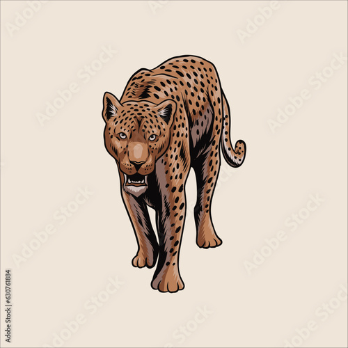 leopard