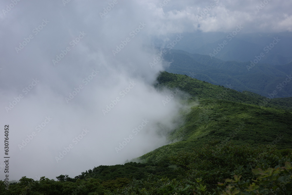 北蔵王の景色　雲海の山形神室岳登山道
