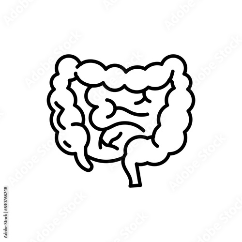 Large Intestine icon in vector. Illustration