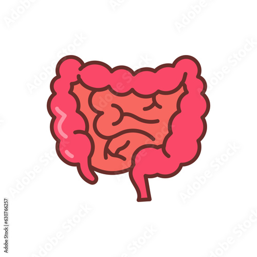 Large Intestine icon in vector. Illustration