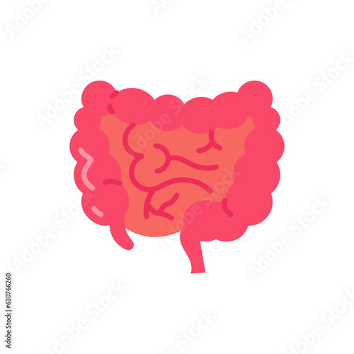 Large Intestine icon in vector. Illustration