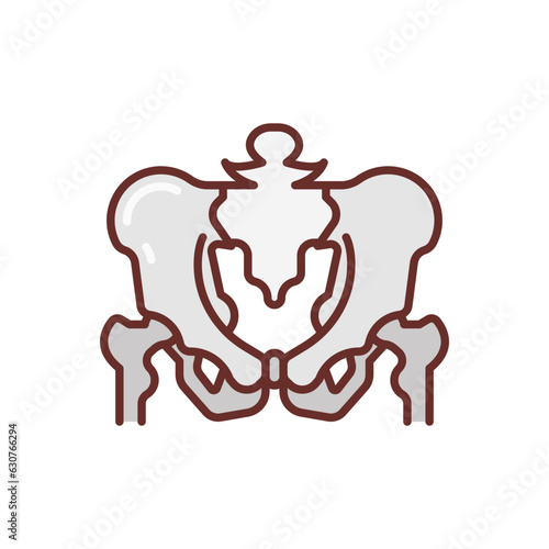 Pelvis icon in vector. Illustration