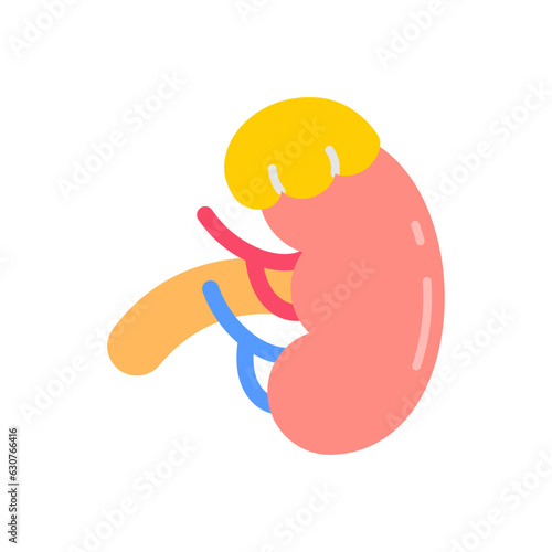 Adrenal Gland icon in vector. Illustration