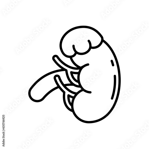 Adrenal Gland icon in vector. Illustration
