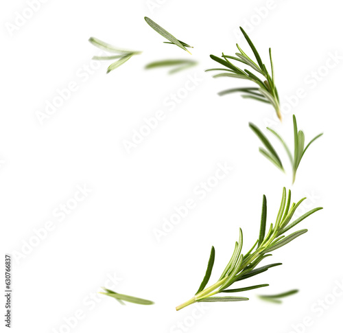 Fresh green organic rosemary leaves flying on transparent background. Ingredient, spice for cooking. frame collection for design photo