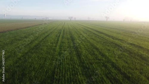 Fields by drone photo