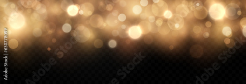 Vector shiny bokeh. Blurred background. Bokeh effect PNG. Christmas background with bokeh PNG. Magic glow, light effect.
