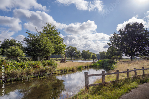 Bushy park stream and ponds view from carpark