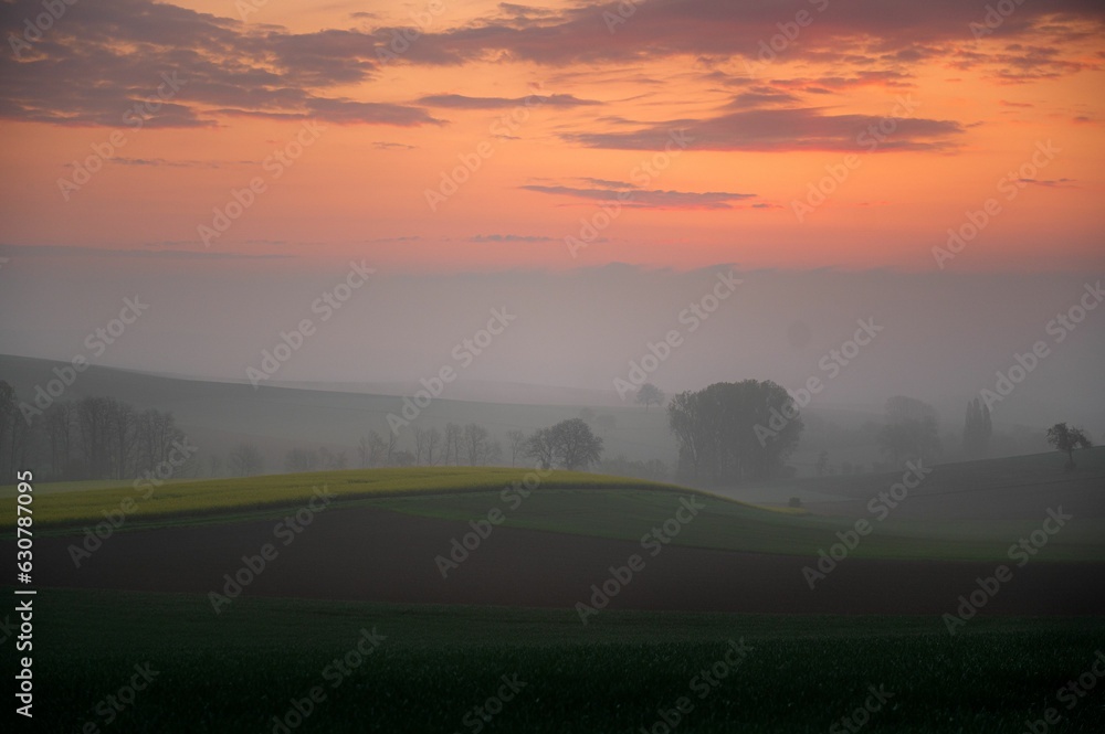 Foggy fields during sunrise in Germany