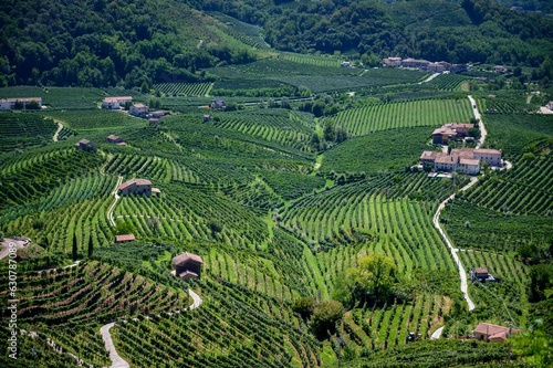 Scenic view on vineyards in Valdobbiadene