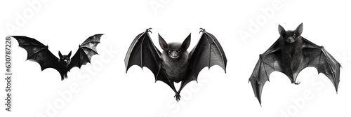 Fototapet Set of flying black bats isolated on transparent background