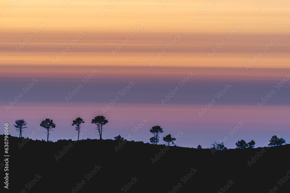 Silhouette from the treeline , at sunset in Albergaria da Serra, Portugal.