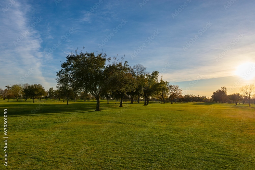 Lush, sun-soaked park with vibrant green grass and trees illuminated by the golden light