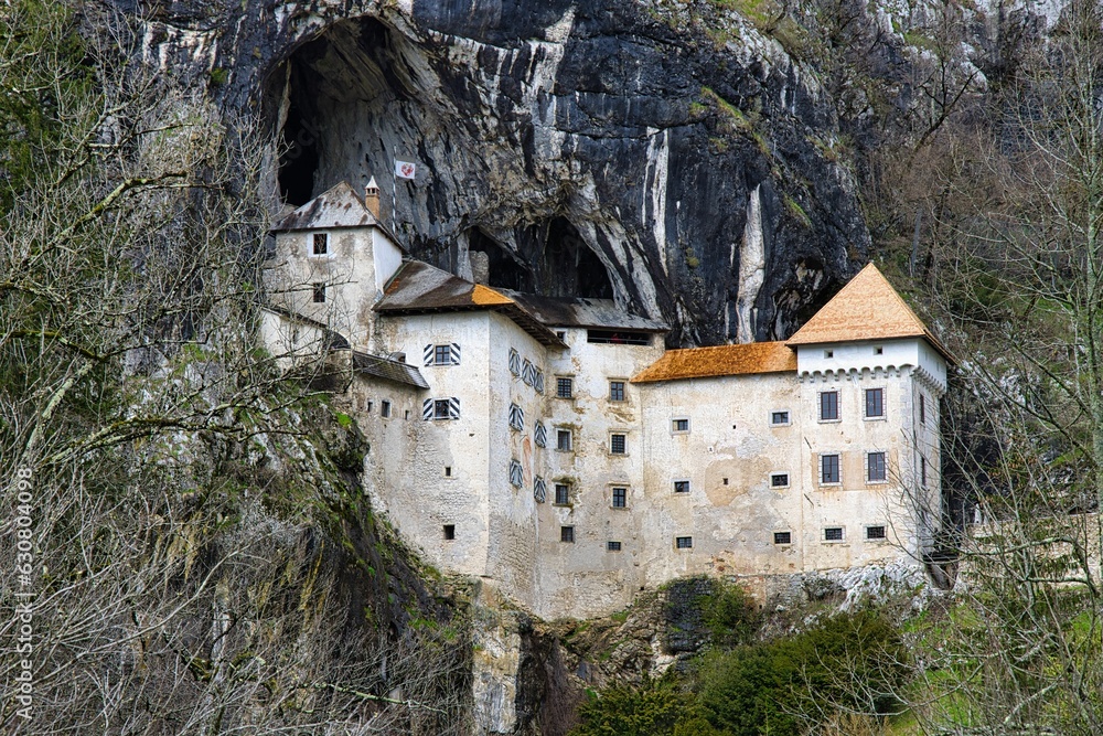 Stunning image depicts a majestic castle situated in Slovenia