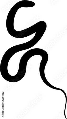 Silhouette of a snake  vector