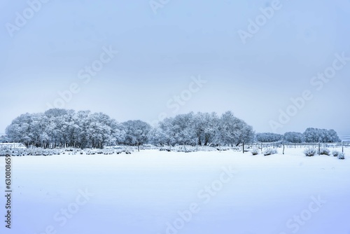 Landscape of a field covered in the snow and woods in the daylight