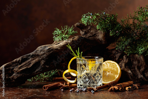 Cocktail gin-tonic with lemon, cinnamon, anise, and juniper berries. photo