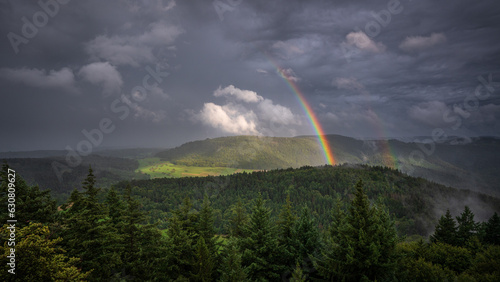 Fototapeta Naklejka Na Ścianę i Meble -  The end of the rainbow during a summer thunderstorm over the northern Black Forest