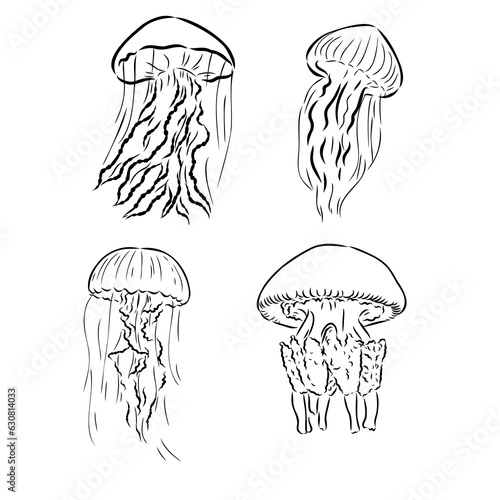 Jellyfish. Vector hand drawn illustration of Jelly Fish on isolated background in outline style. Drawing of sea animal. Engraving of undersea fish painted by black ink for icon or logo. Linear sketch.