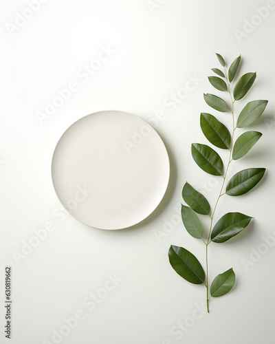 Round Plate and Branch with Leaves on a Table  Top View 