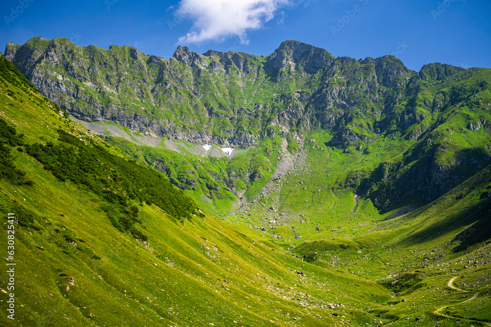 Fototapeta premium Beautiful mountain valley with a stream. Fagaras Mountains, Romania.