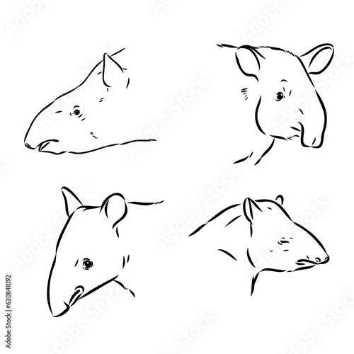 Tapir animal sketch engraving vector illustration. Scratch board style imitation. Hand drawn image.