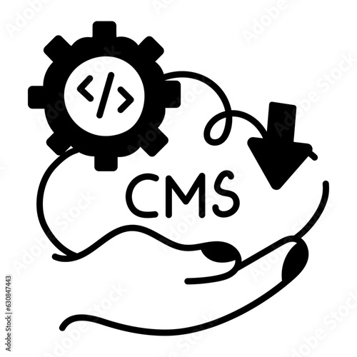 CMS Development