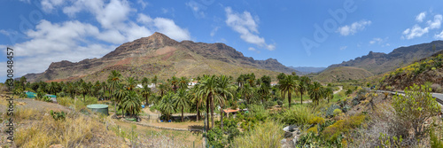 Panorama Landschaft im Barranco de Fataga auf der Insel Gran Canaria / Kanaren
