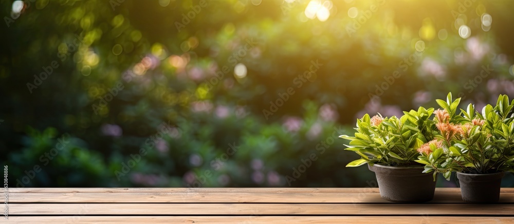 An outdoor garden background with an empty wooden table serves as a space for marketing promotion or any text. The blank wood table provides a background with copy space.