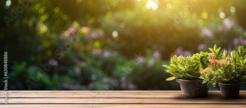 An outdoor garden background with an empty wooden table serves as a space for marketing promotion or any text. The blank wood table provides a background with copy space.