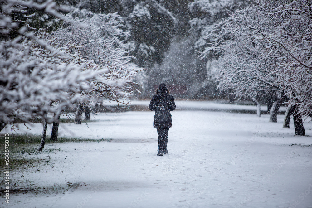 Una mujer pasea por un parque durante una nevada