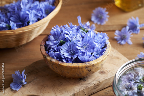 Fresh blue chicory or succory flowers in a bowl