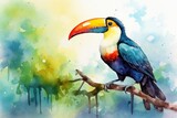 Watercolor painting of toucan bird