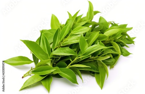 Green tea leaves
