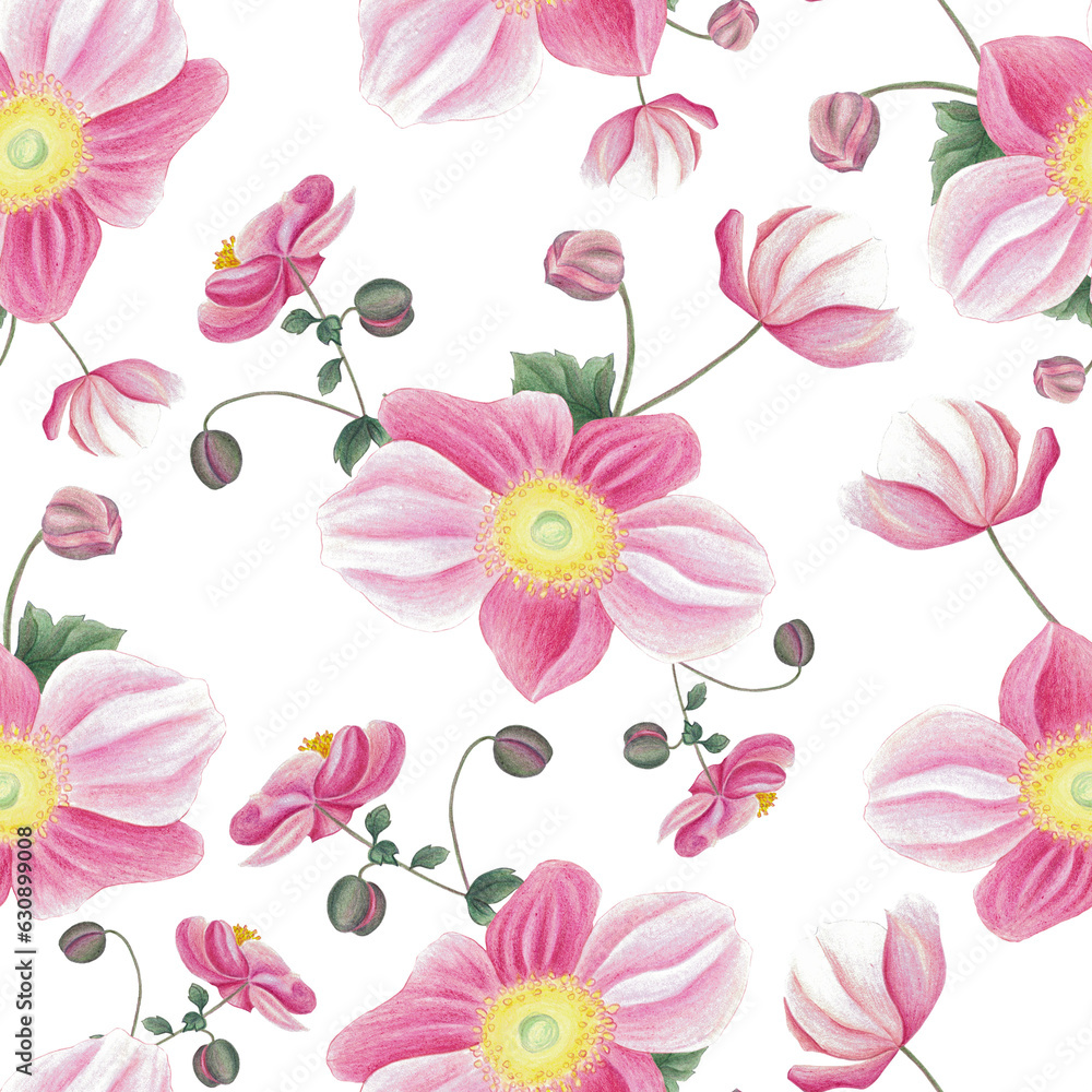 Seamless pattern with pink anemone, leaves and bud. Hand drawn illustration isolated on white. Botanical background for fabric, wrapping paper, wallpaper decoration.