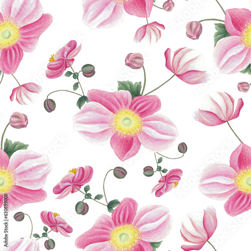 Seamless pattern with pink anemone  leaves and bud. Hand drawn illustration isolated on white. Botanical background for fabric  wrapping paper  wallpaper decoration.